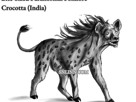 An illustration of the mythical beast, Crocotta, which essentially looks like a hyena.
