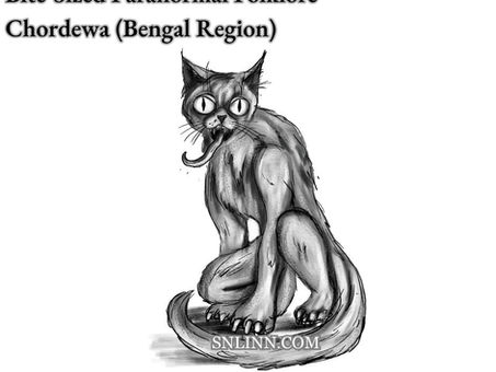 An illustration of a chordewa, a werecat like monster