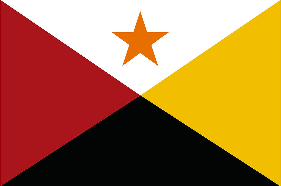 Tucson_New Flag.jpg