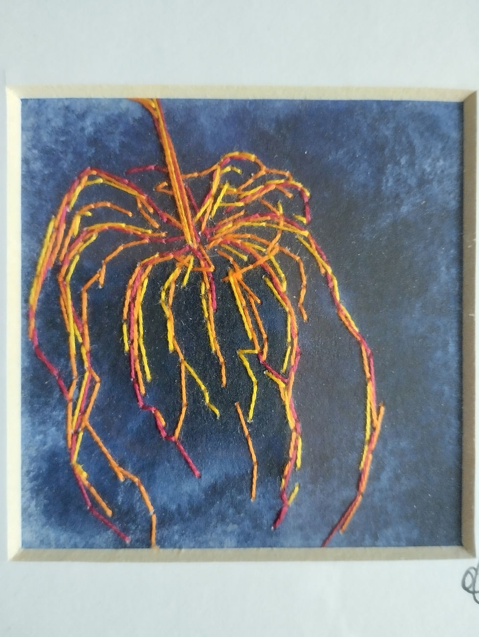 Miniatura: Physalis II