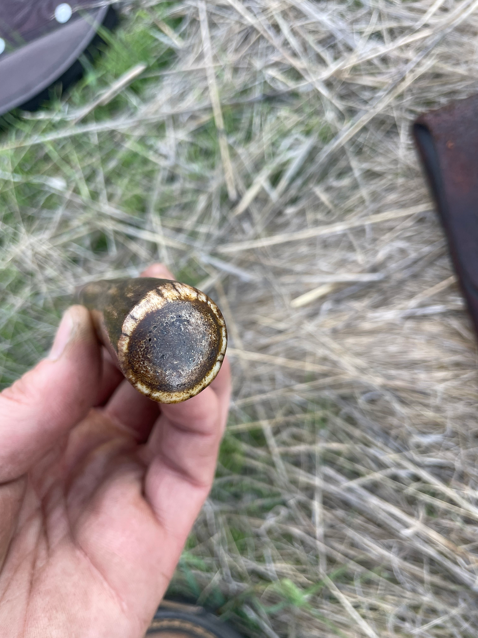 Thumbnail: Whitetail CuMai Clip Point