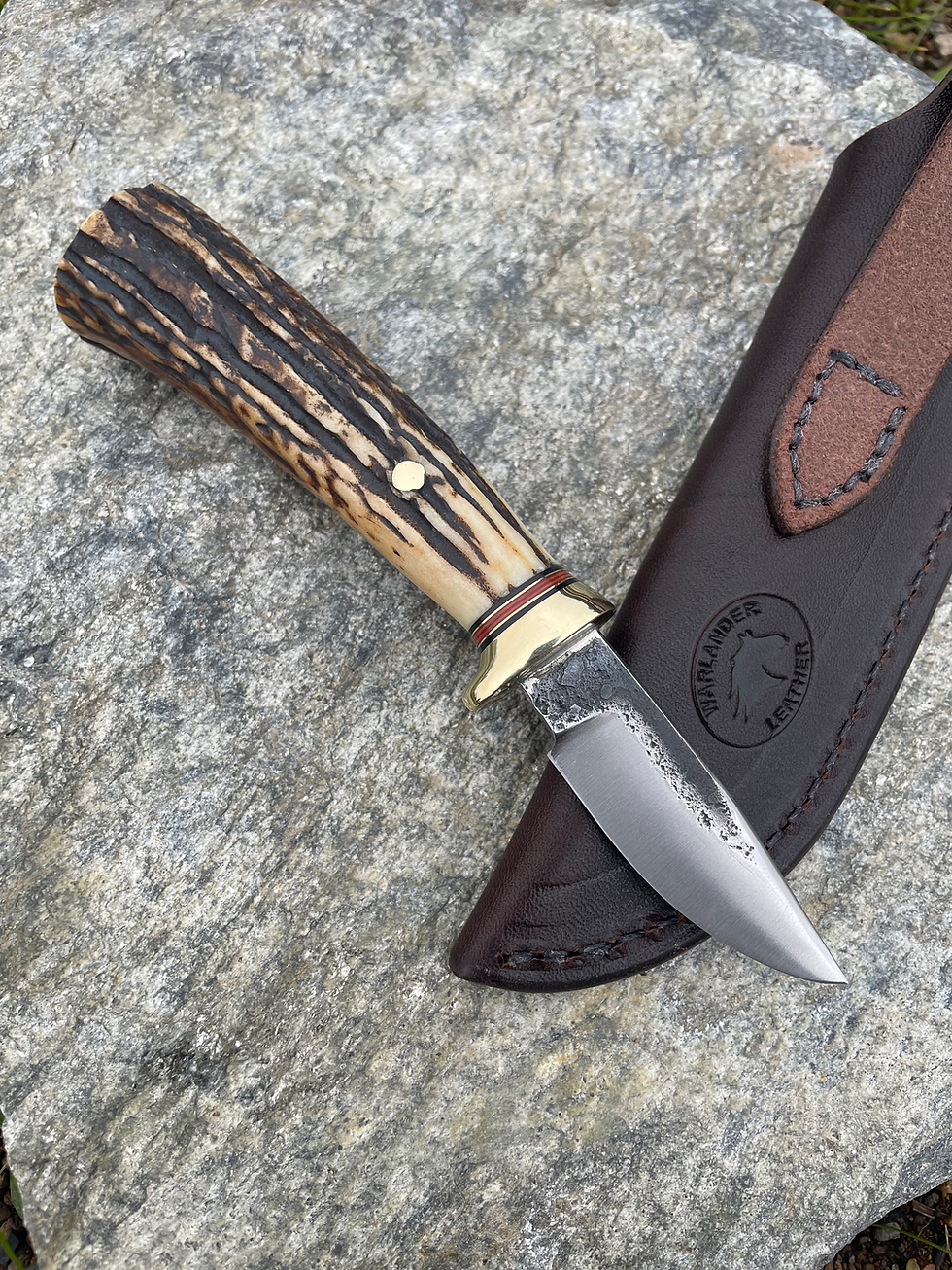 Thumbnail: Premium Sambar Stag Drop Point