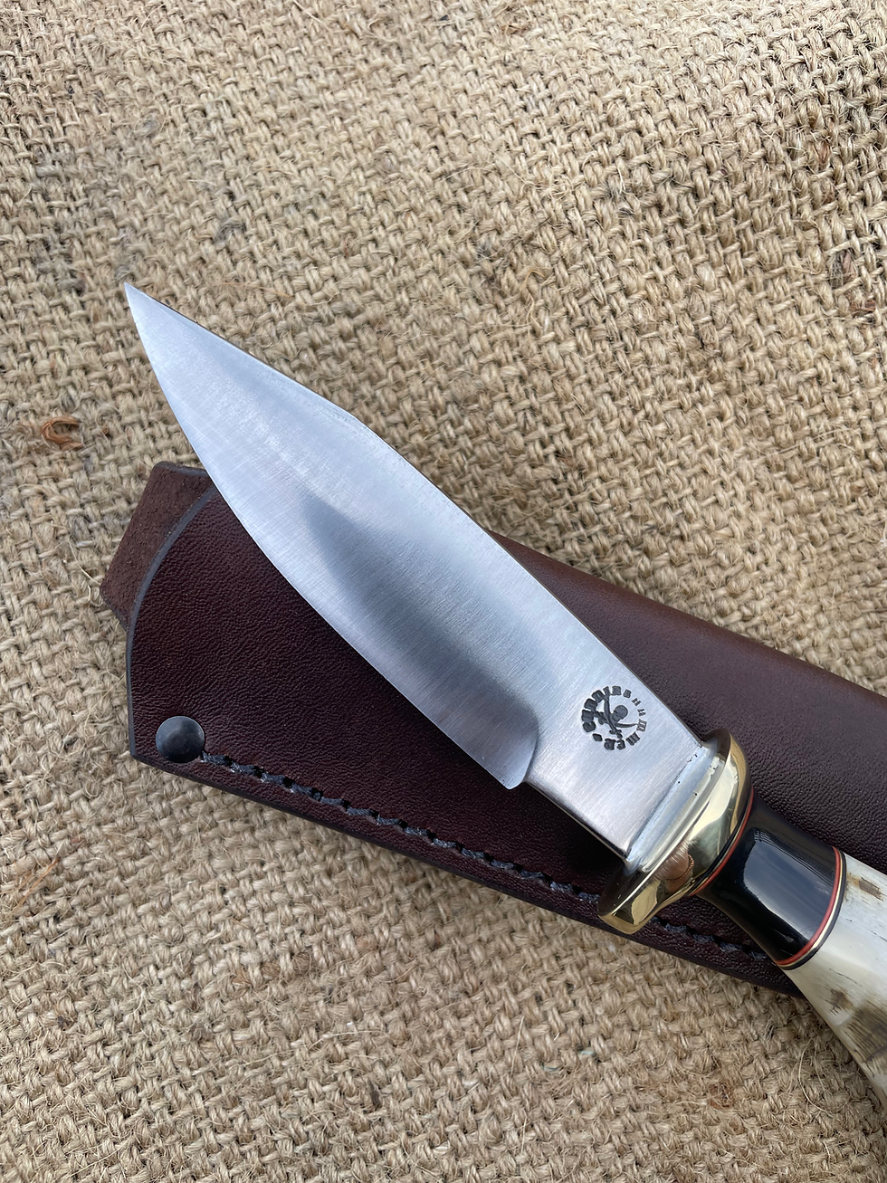 Thumbnail: Willow Bow Sheep and Buffalo Horn Drop Point