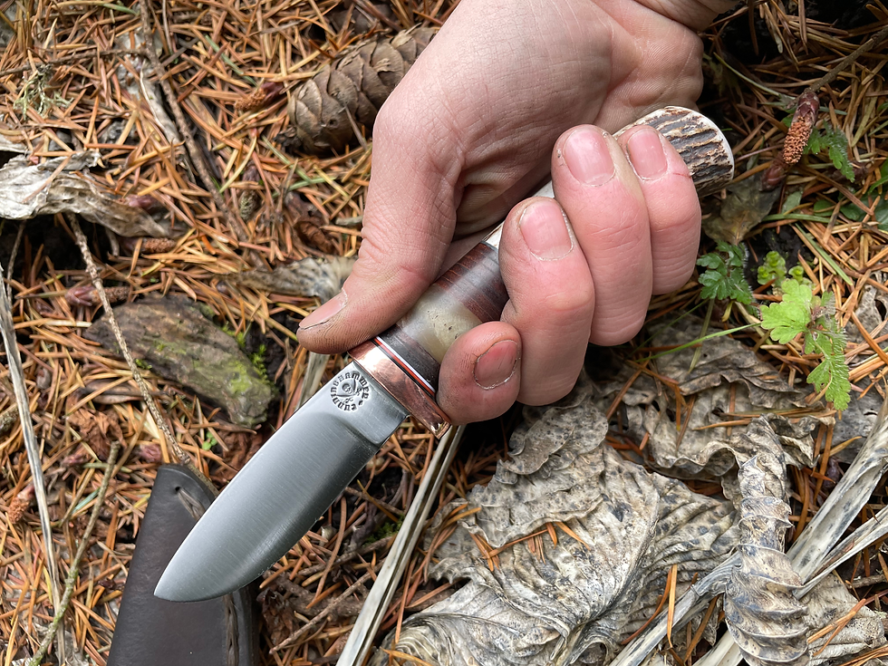 Thumbnail: Axis, Sheep Horn and Leather Drop Point