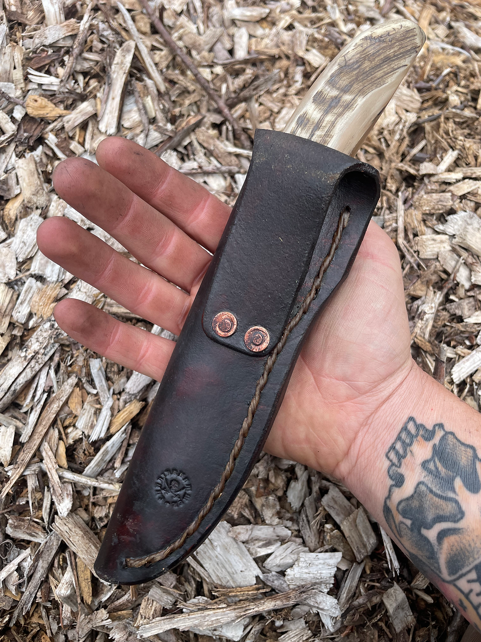 Thumbnail: Willow Bow Sheep Drop Point