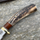 Thumbnail: Premium Sambar Stag and Desert Ironwood Clip Point
