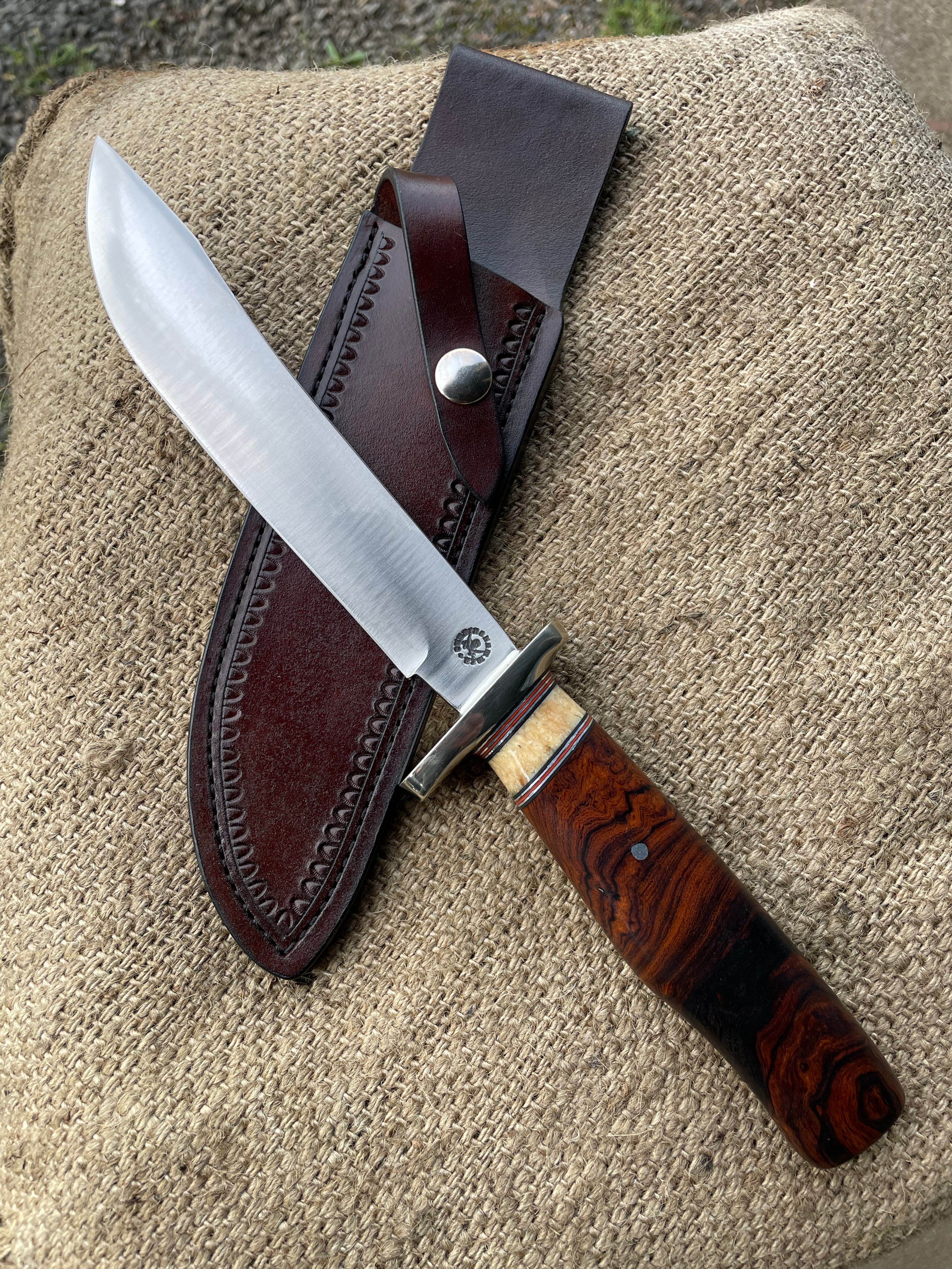 Premium Desert Ironwood Burl and Fossil Walrus Clip Point Camp Knife