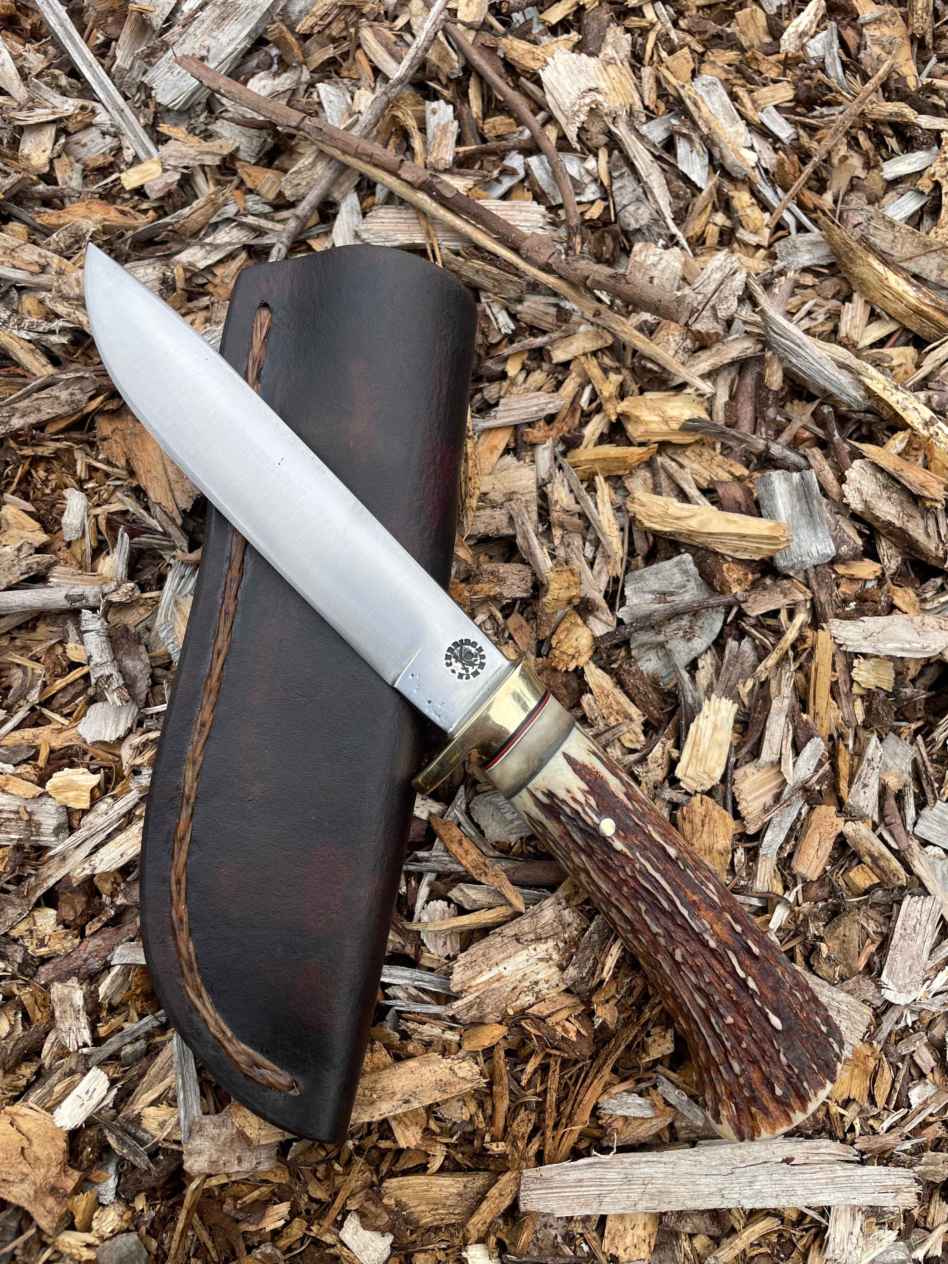 Roosevelt Elk & Sheep Horn Drop Point Hunter