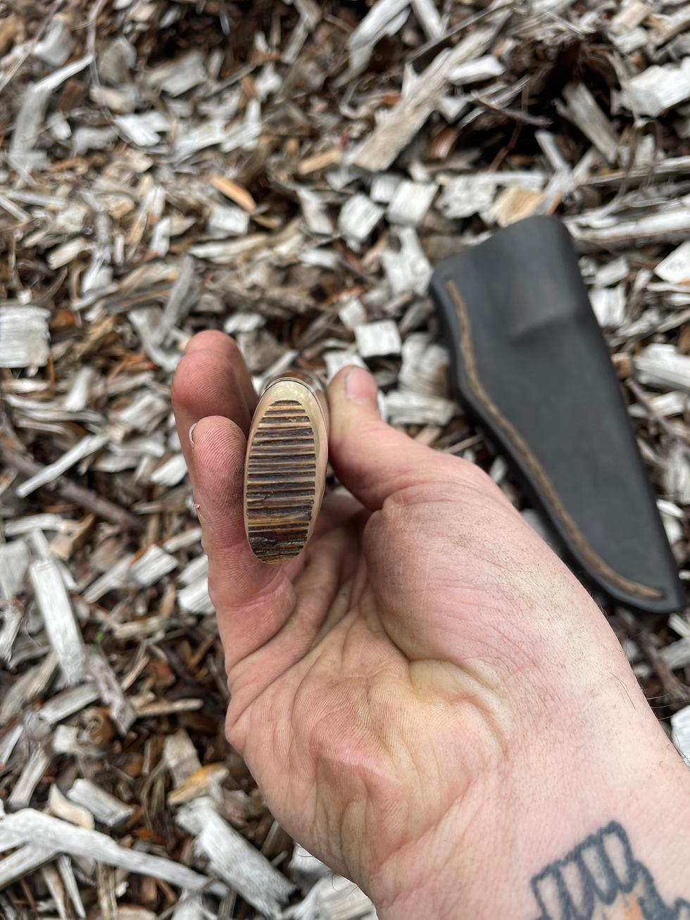Thumbnail: Premium Desert Ironwood and Musk Ox Drop Point Hunter