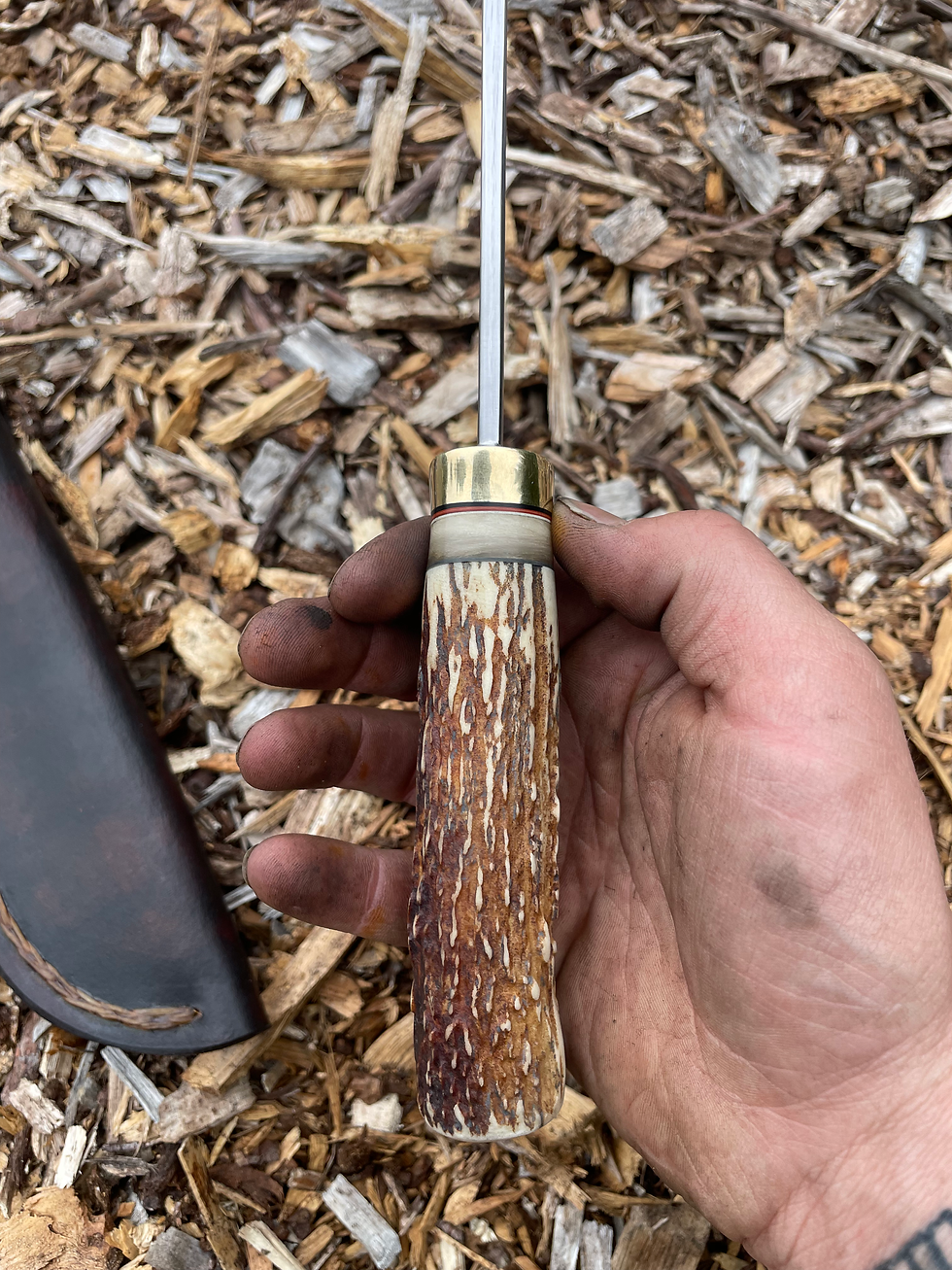 Thumbnail: Roosevelt Elk & Sheep Horn Drop Point Hunter