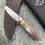 Thumbnail: Axis Stag & Willow Bow Sheep Drop Point