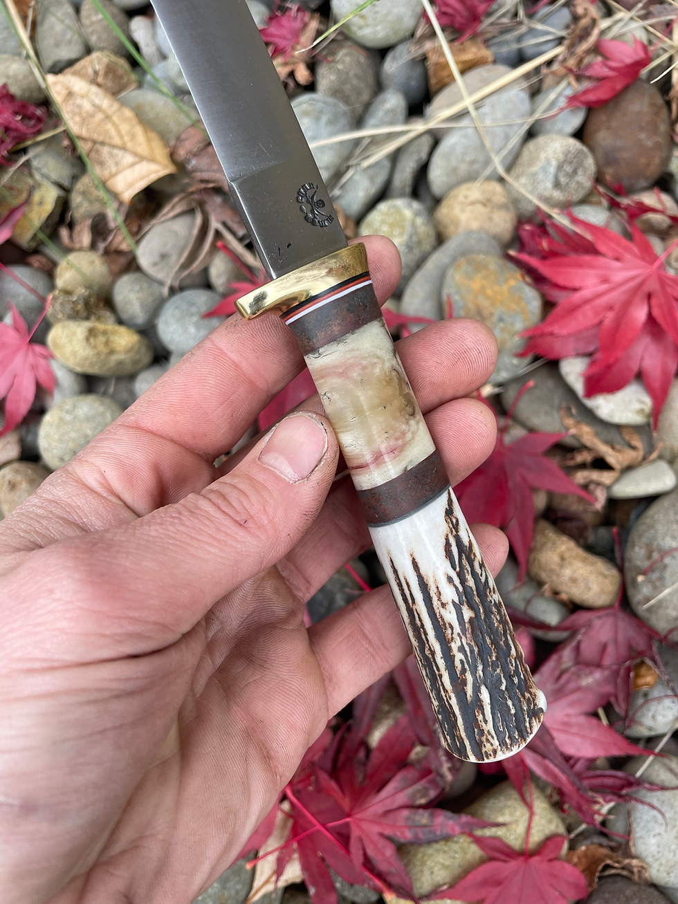 Thumbnail: Hawaiian Axis and Willow Bow Sheep Fillet