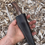 Thumbnail: Hawaiian Axis and Sheep Horn Clip Point