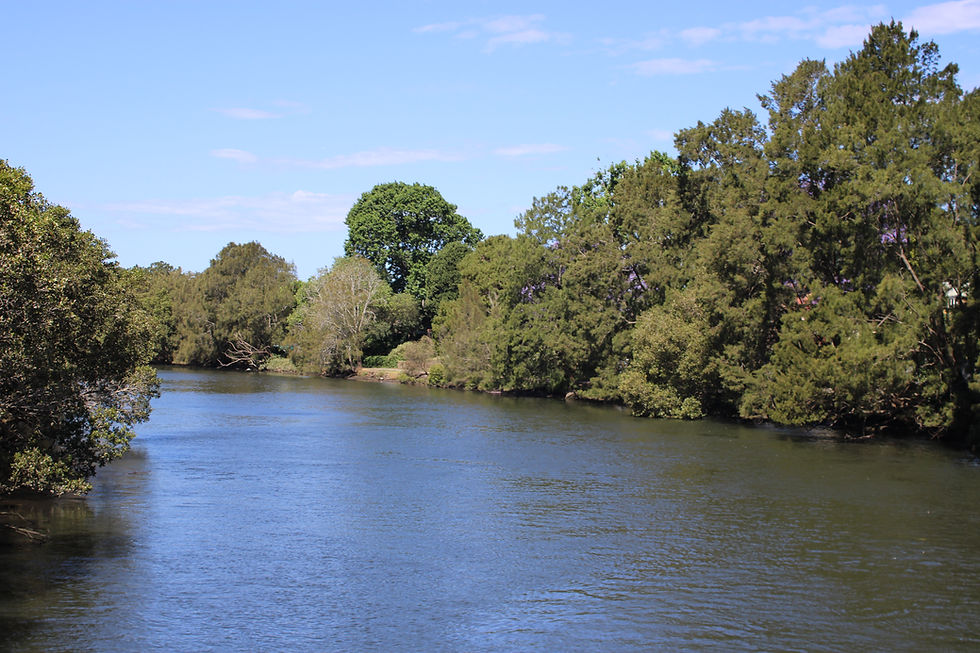 The Cooks River