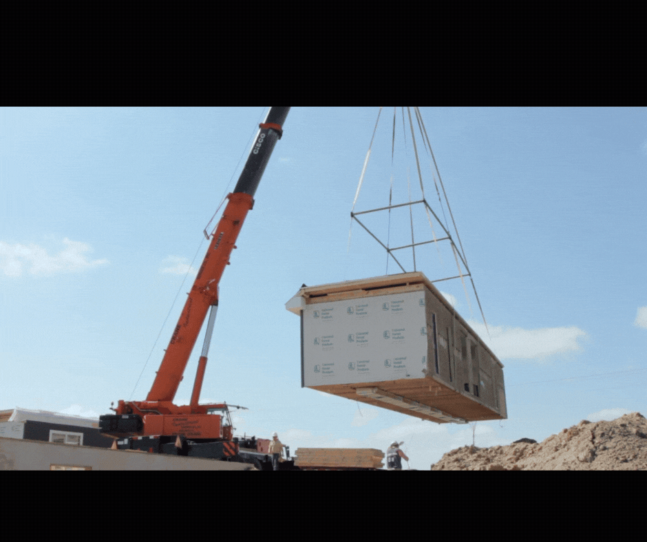 Add a subheading (3).gif