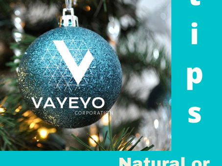 Natural or Artificial Tree???