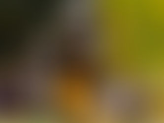 Senior WR Sargent Takes Ownership, Uses Early Adversity as Motivation