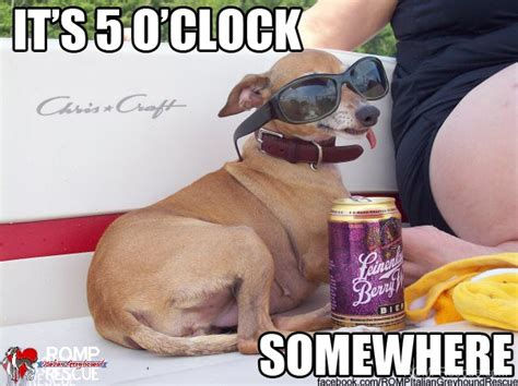 b38cb8d6dda81dc0f0ea54992b7d6cfb.jpeg