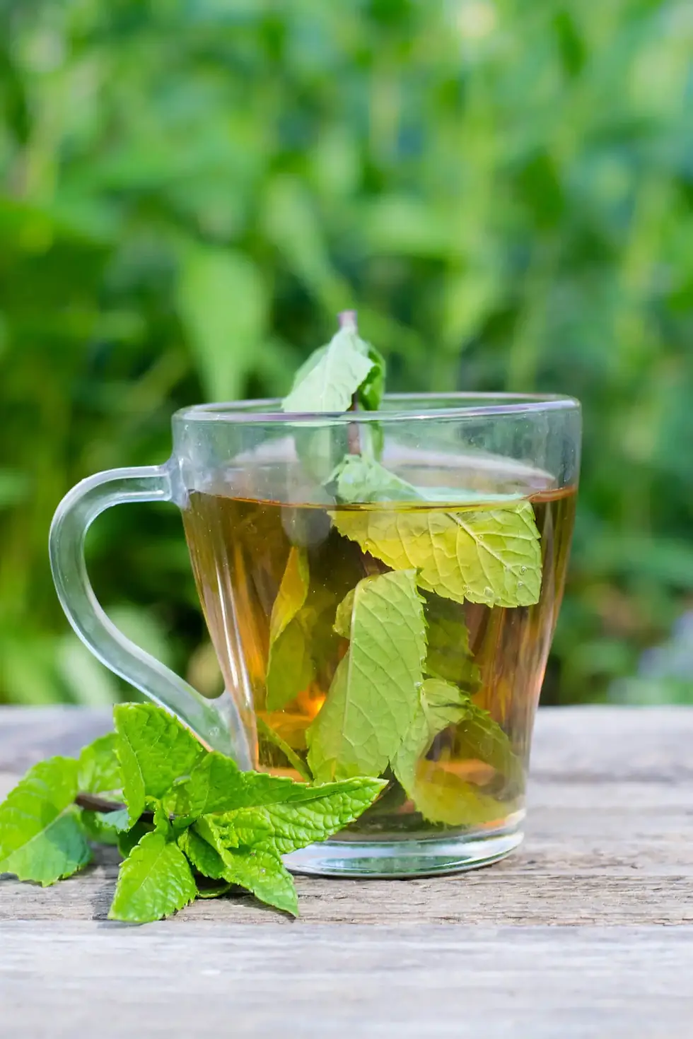 Glass cup of peppermint tea with mint leaves