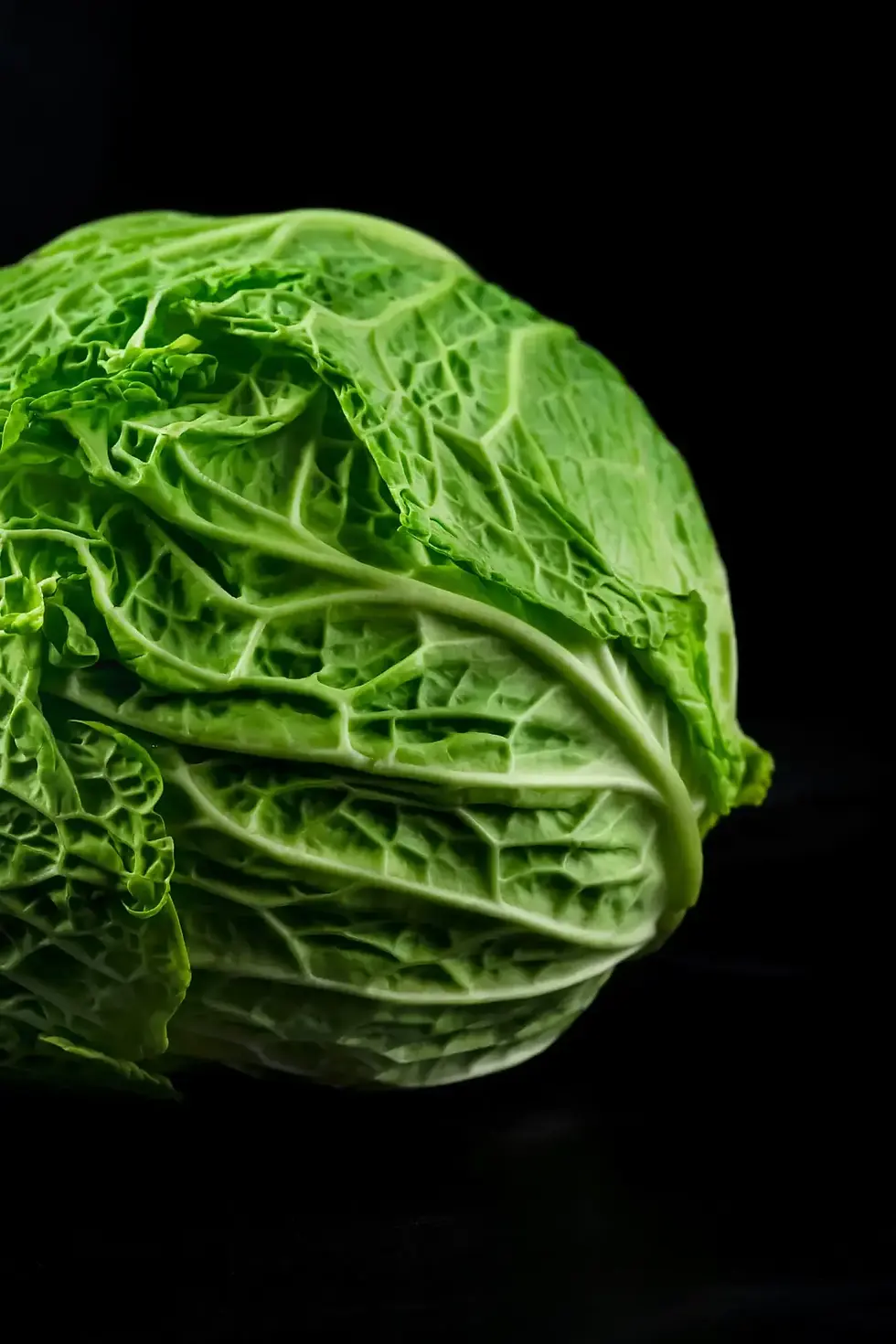 Head of green cabbage on a dark background