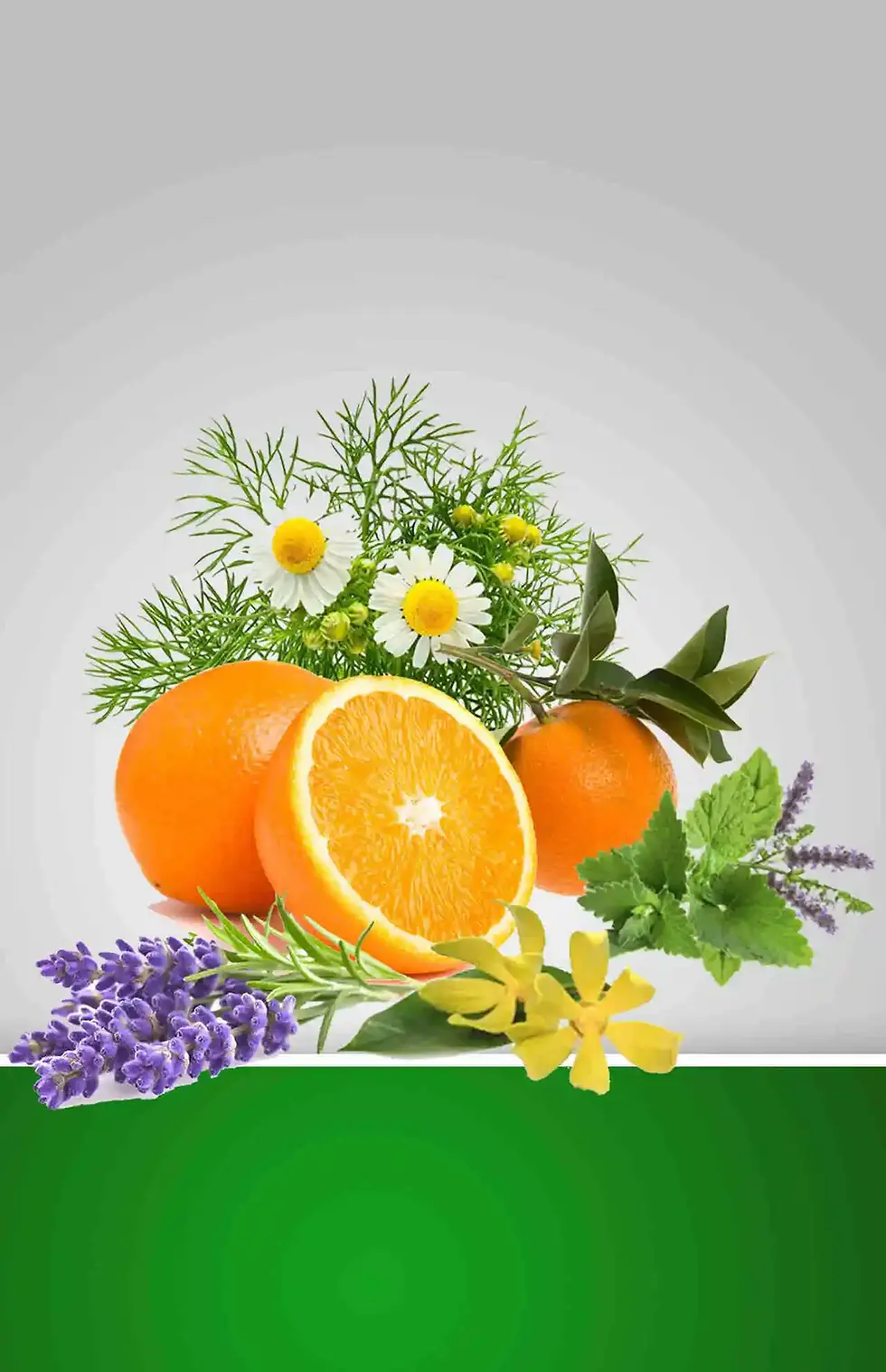 calming-essential-oil-blend-with-lavender-roman-chamomile-orange-petitgrain-patchouli-ylang-ylang