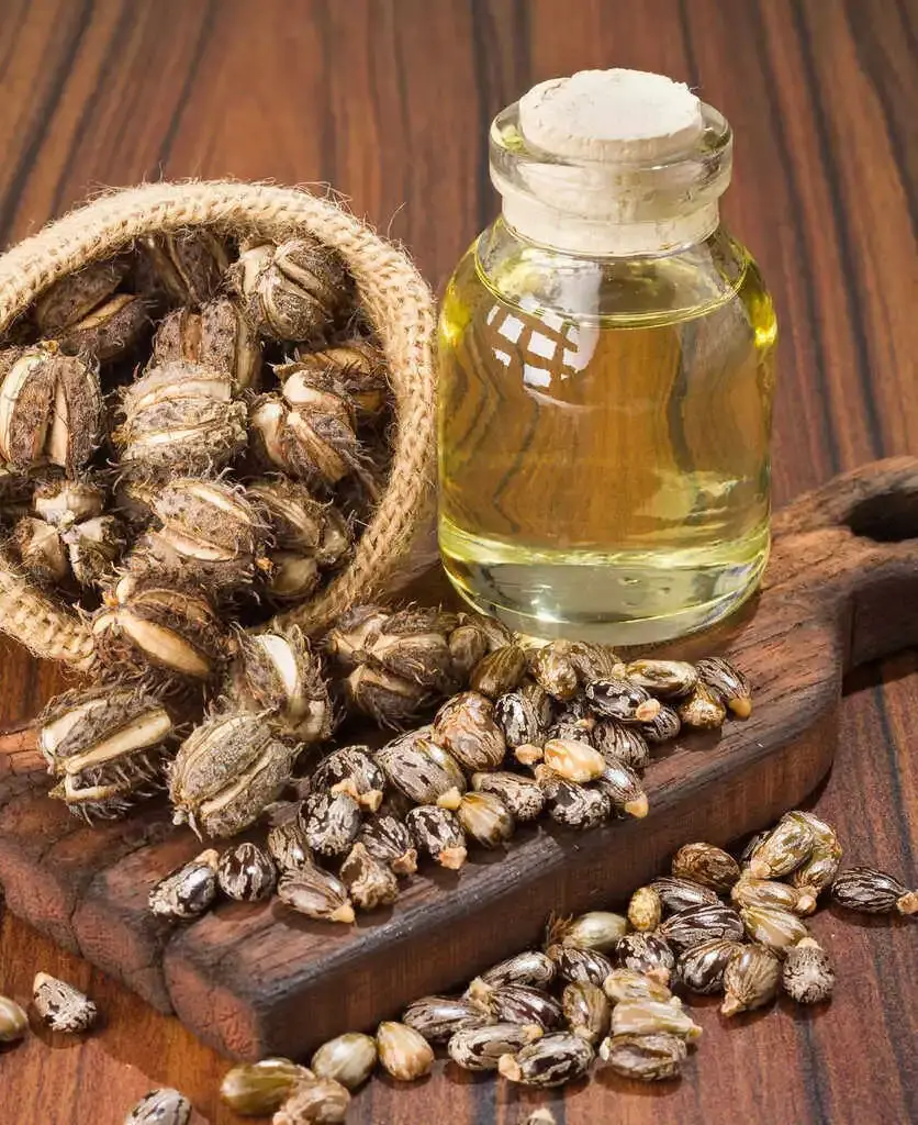 Bottle of castor carrier oil beside castor seeds and pods