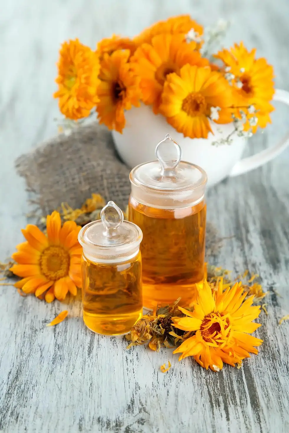 Calendula oil bottles beside orange calendula flowers
