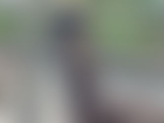 New York City And A Stupid Alpaca