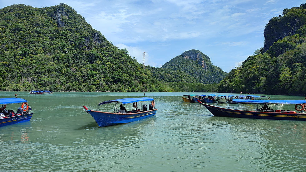 Landscape photo of Langkawi mangrove tour boats on green water with lush hills and blue sky, wide landscape.