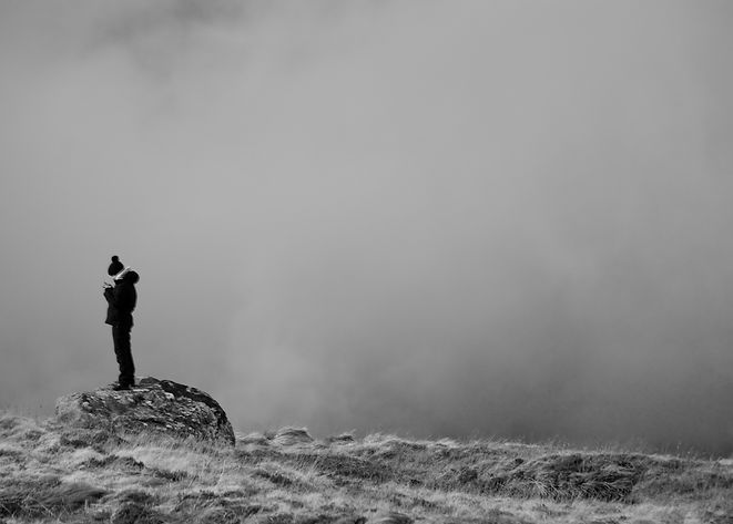 _D713783.jpg