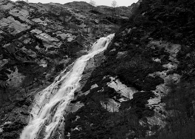 _D714411.jpg