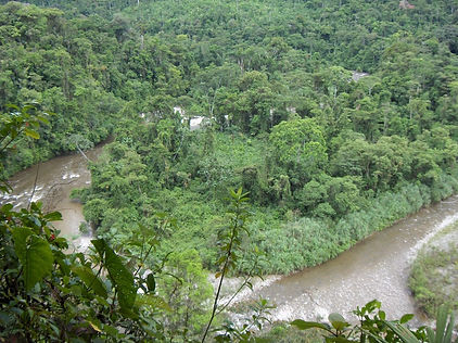 CIUDAD PERDIDA