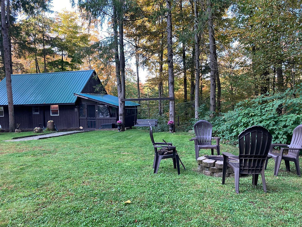 Living Alone: Practical Tips for Self-Sufficiency in the Woods