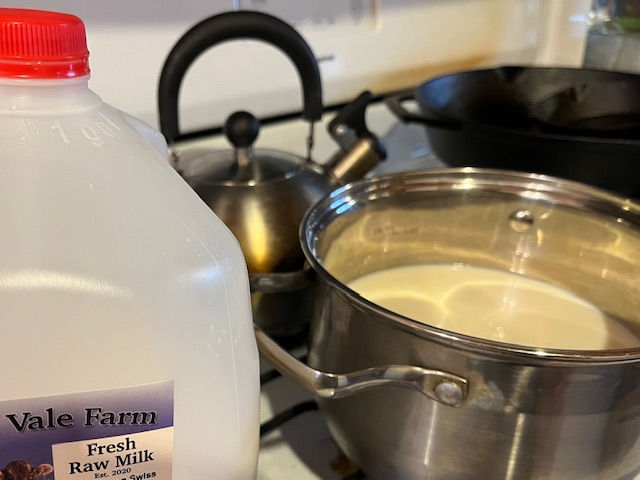 I love raw milk, and have switched almost completely to raw milk, even when making yogurt.