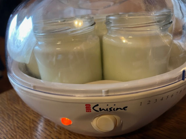 The EuroCuisine Electric Yogurt Maker