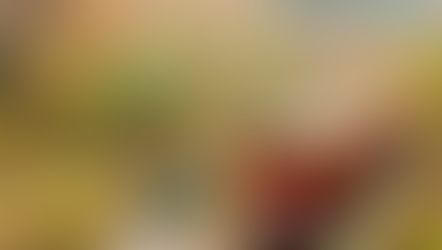 DIEZ DESTINOS TURÍSTICOS IMPERDIBLES EN JAPÓN PARA DISFRUTAR DE LOS COLORES OTOÑALES Y SU ENCANTO RETRO