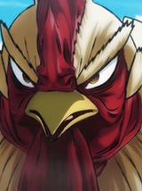 ¿CRISTIANISMO HIZO EXITOSO A ROOSTER FIGHTER? LA EXTRAÑA EXPLICACIÓN QUE DESATA DEBATE