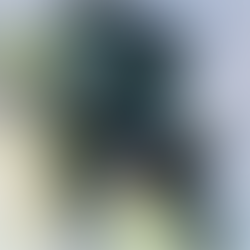 UN NUEVO AMANECER: ANUNCIADA PARA 2025 UNA PELÍCULA ORIGINAL DE ANIME 