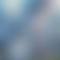 LA PELÍCULA WEATHERING WITH YOU NO FIGURA EN LA LISTA DE PRESELECCIÓN INTERNACIONAL DEL OSCAR