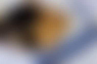 Desde Malaquías hasta Mateo