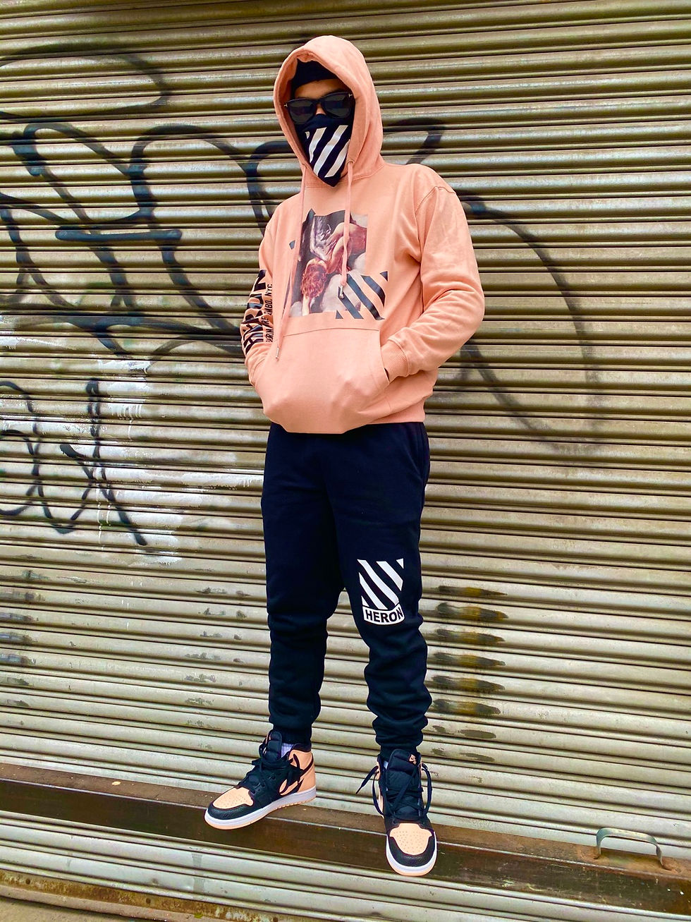 Thumbnail: Fallen Angels hoodie (Salmon)