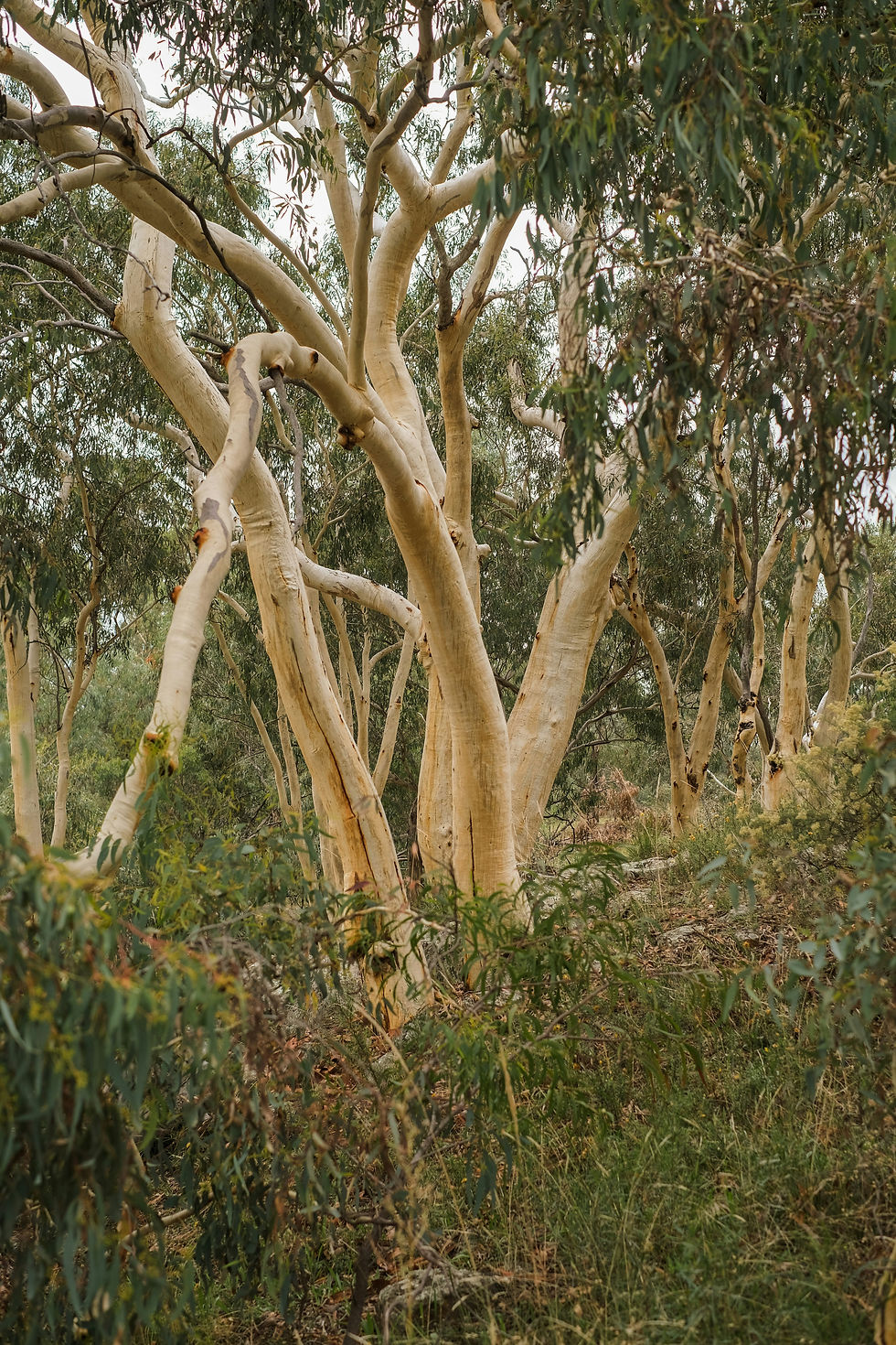 raelle-cameron-AefDtazFtjA-unsplash.jpg