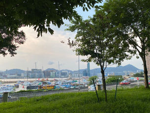 Victoria Park Hong Kong – A Peaceful Walk in the Heart of the City