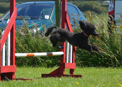 S Hallmark Lottie 15.JPG