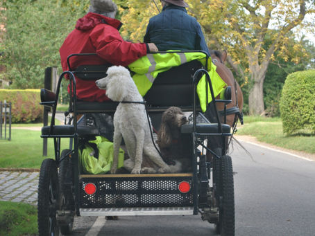 Hitching a ride!