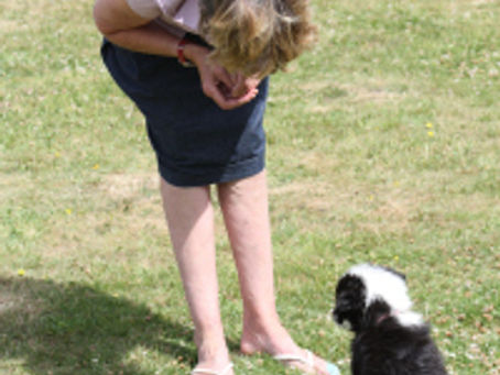 What Betty taught the dog trainer!