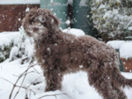 Radio, snow and dates!