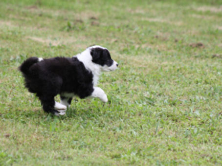 Betty and bedtime and vaccinations!