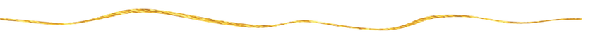 linea1.png