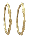 6 - ESS - EVOLUZIONE.png